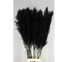 DF Pampas 120cm Black - PER HANDLE