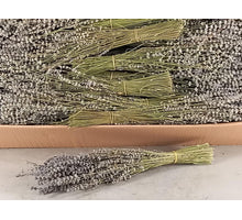 Lavender bunch approx. 45cm 100gram