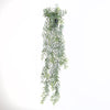 Acacia Hanging Plant in  Pot Green 91cm