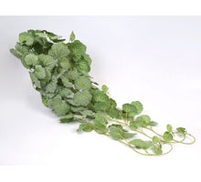 Pelargoniumhanger wir/groen 105cm