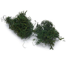 Curly moss mossgreen 500g