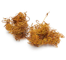 Curly moss yellow 500g