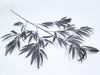 Bamboo spray black 100cm