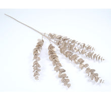 Eucalyptus spray champagne 84cm