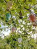 Solar ballon metaal pastel steady 4 assortie 13cm x 36cm