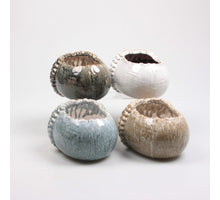 BLOEMPOT 15.2X12.2X9.6 CM 4 KLEUREN ASSORTIE