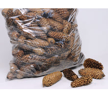 SPRUCE CONE MIXED NATURAL POLY/5 KG