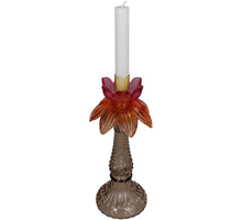 Candle Stick Palm glassnatural 25x25x26cm