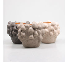 BLOEMPOT MET PADDENSTOELEN 15.5X15.5X14 CM 3 KLEUREN ASSORTIE PASTEL