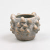 BLOEMPOT MET PADDENSTOELEN 13X13X11 CM 2 KLEUREN ASSORTIE METAL