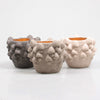 BLOEMPOT MET PADDENSTOELEN 13X13X11 CM 3 KLEUREN ASSORTIE PASTEL