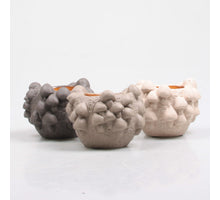 BLOEMPOT MET PADDENSTOELEN 11.5X11.5X9 CM 3 KLEUREN ASSORTIE PASTEL
