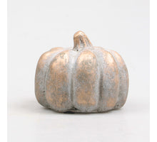 POMPOEN 8X8X7 CM 2 KLEUREN ASSORTIE METAL