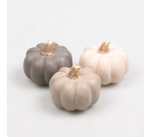 POMPOEN 8X8X7 CM 3 KLEUREN ASSORTIE PASTEL