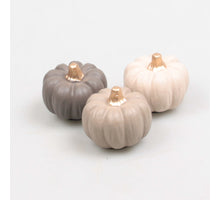 POMPOEN 6X6X4.5 CM 3 KLEUREN ASSORTIE PASTEL
