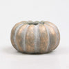 KAARSENSTANDAARD POMPOEN 11X11X6.4 CM 2 KLEUREN ASSORTIE METAL