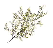 Muehlenbeckia Spray Green 136cm