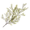 Muehlenbeckia Spray Green 136cm