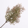 Cotinus Spray Green  53cm