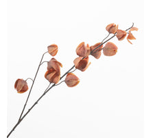 Physalis Spray Orange 85cm