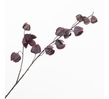 Physalis Spray Purple 85cm