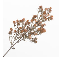 Sedum Spray Orange 80cm