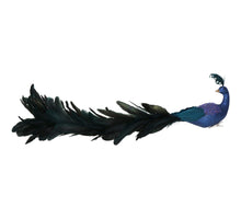 Ornament Peacock Feather Blue 55cm