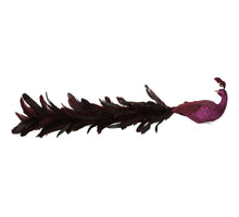 Ornament Peacock Feather Purple 55cm