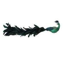 Ornament Peacock Feather Green 55cm