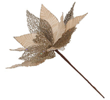 Artificial Flower Poinsettia Velvet Champagne 30cm