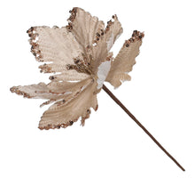 Artificial Flower Poinsettia Velvet Champagne 25cm