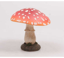 PADDENSTOEL PARAPLU 7X7X10 CM