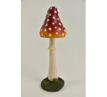 PADDENSTOEL PUNT 7X7X24.5 CM