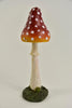 PADDENSTOEL PUNT 7X7X24.5 CM
