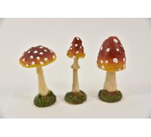 PADDENSTOEL POLY 3 ASS 7 CM