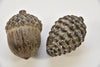 ACORN/PINE CONE S POTTERY 8x8x8cm ASSORTED