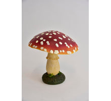 Paddenstoel paraplu 14x14x15 cm