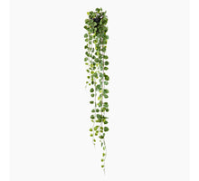 Philo Plant in Pot Green 106cm