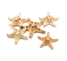 Filipijnse zeester 5-7cm naturel zak van 25 stuks