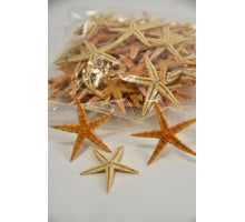 Sugar starfish 5-7cm natural 100pcs