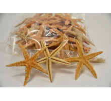 Zeester 'Sugar' ±9cm 20pcs