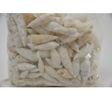 Shell Cerithium Vertagus 1kg
