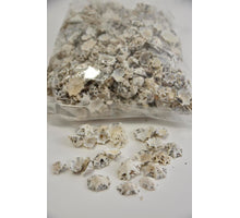 Shell Patella Sacharina 1kg