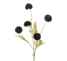 Gompy spray x5 L51cm black