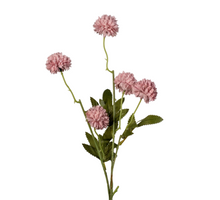 Gompy spray x5 L51cm old pink