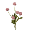 Gompy spray x5 L51cm old pink