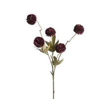 Gompy spray x5 L51cm bordeaux