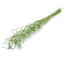 Willow spiral 90cm frosted applegreen 25pcs