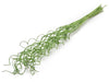 Willow spiral 90cm frosted applegreen 25pcs