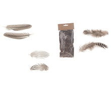 Feather mixed Natural